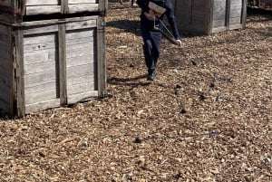 Amsterdam Archery Tag: Najlepsza aktywność grupowa