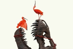 Art Zoo Museum: Taide kohtaa luonnon 1600-luvun talossa