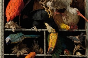 Art Zoo Museum: Taide kohtaa luonnon 1600-luvun talossa