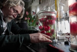 Art Zoo Museum: Taide kohtaa luonnon 1600-luvun talossa