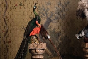 Art Zoo Museum: Taide kohtaa luonnon 1600-luvun talossa