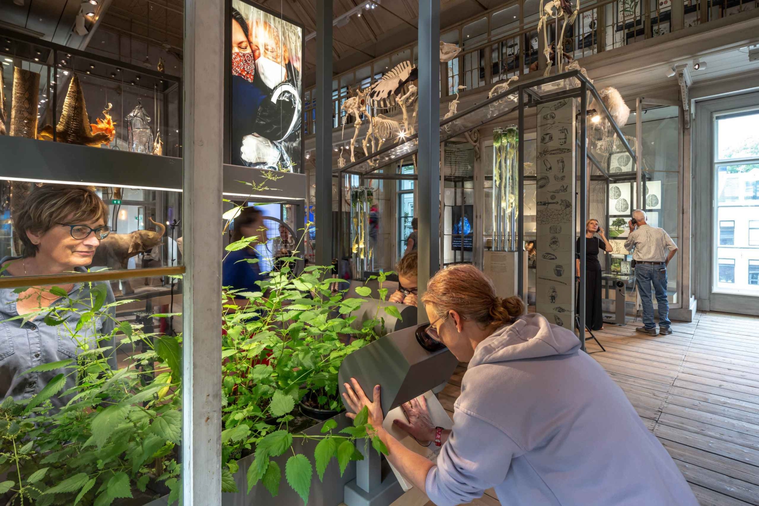Amsterdam: Entrébillet til ARTIS-Groote Museum