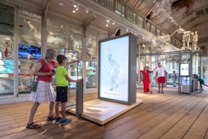 Amsterdam: Entrébillet til ARTIS-Groote Museum