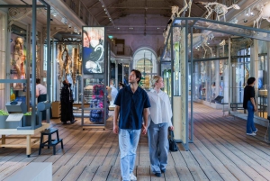 Amsterdam: Entrébillet til ARTIS-Groote Museum