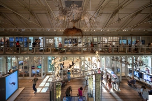 Amsterdam: Entrébillet til ARTIS-Groote Museum