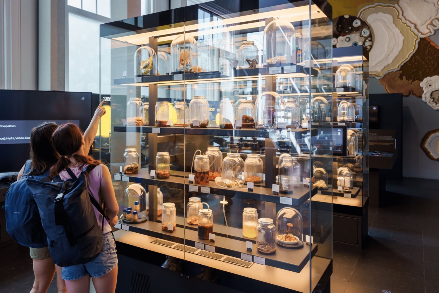 Amsterdam: ARTIS-Micropia Microbe Museum Entry Ticket