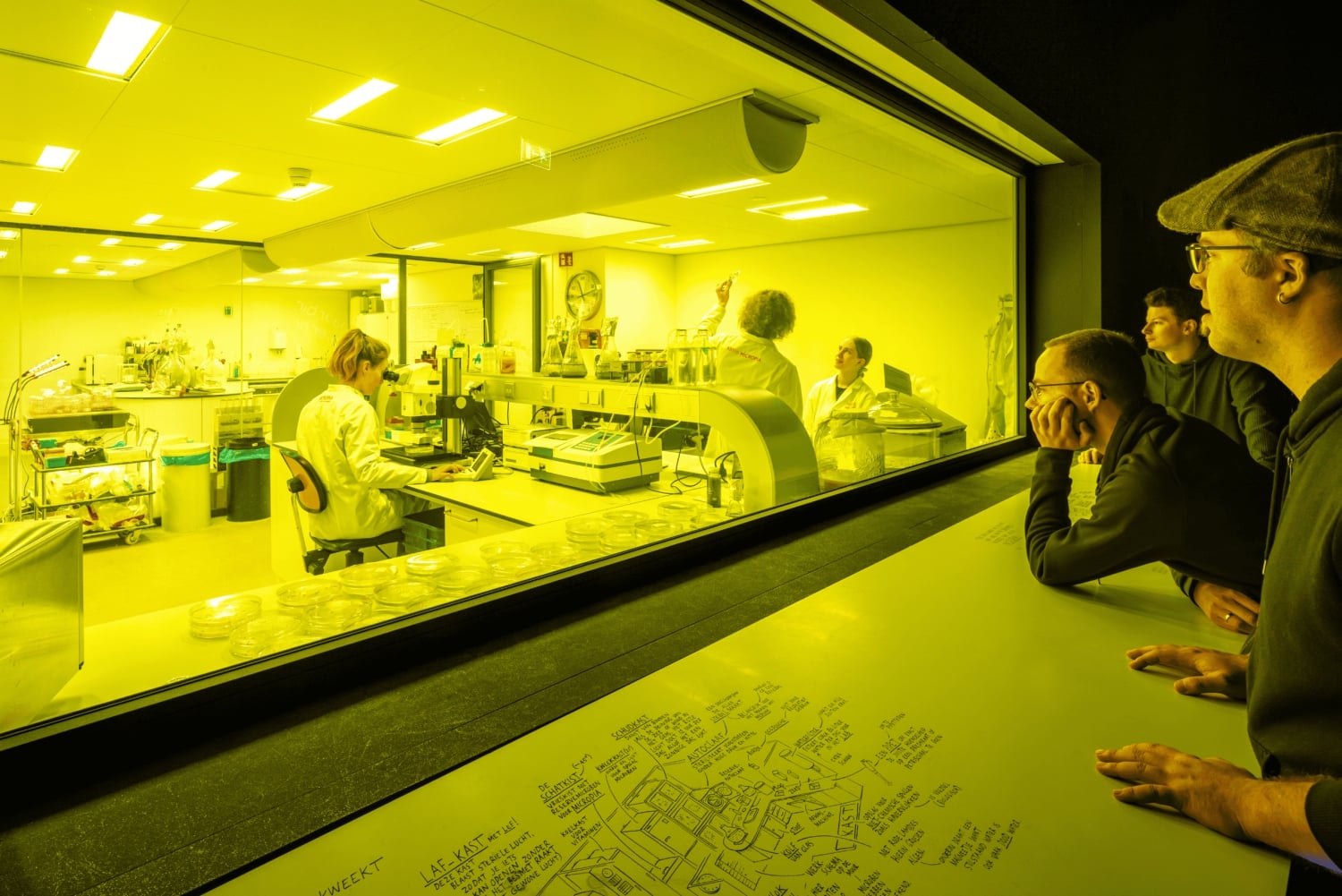 Amsterdam: ARTIS-Micropia Microbe Museum Entry Ticket