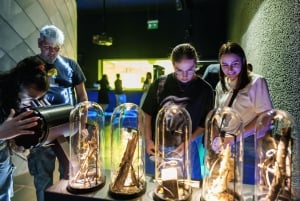 Amsterdam: ARTIS-Micropia Microbe Museum Entry Ticket