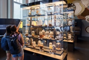 Amsterdam: ARTIS-Micropia Microbe Museum Entry Ticket