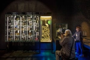 Amsterdam: ARTIS-Micropia Microbe Museum Entry Ticket