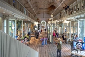 Amsterdam: ARTIS Royal Zoo ja ARTIS Groote Museum lippu.