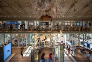 Amsterdam: ARTIS Royal Zoo and ARTIS Groote Museum Ticket