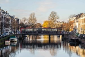 Amsterdam: Bus dayticket to Haarlem and Zandvoort (beach)