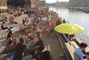 Amsterdam: Bus dayticket to Haarlem and Zandvoort (beach)