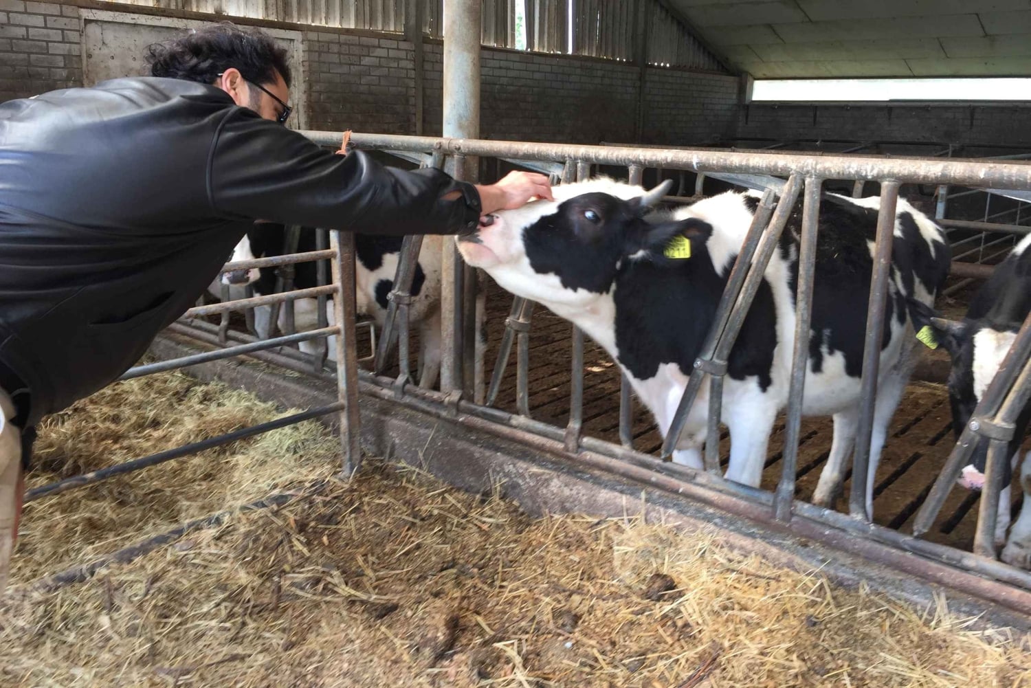 Amsterdam:: Cykeludlejning med gratis app til selvguidet tur