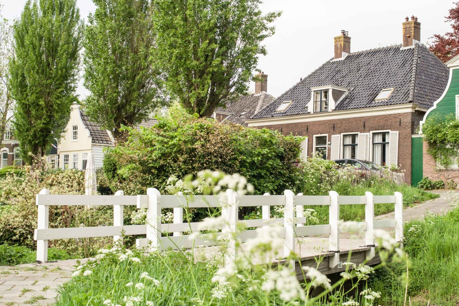 アムステルダム：ドイツ語または英語での自転車ツアー（Noord）