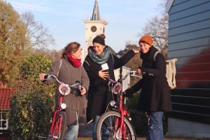 Amsterdam: Bike Tour (Noord) in German or English