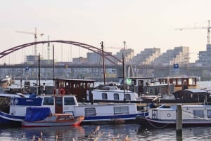 アムステルダム：ドイツ語または英語での自転車ツアー（Noord）