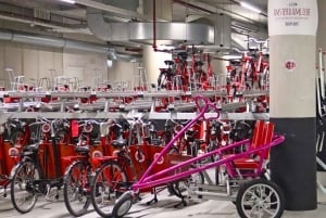 アムステルダム：ドイツ語または英語での自転車ツアー（Noord）