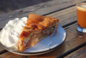 アムステルダム：ドイツ語または英語での自転車ツアー（Noord）