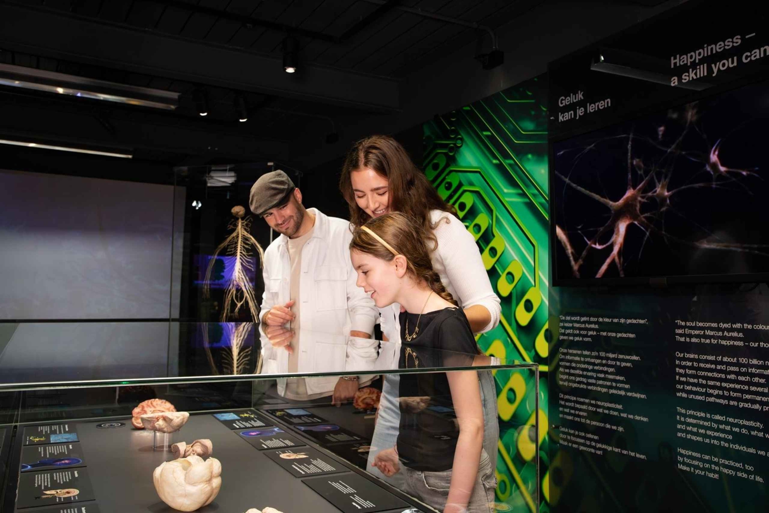 Амстердам: выставка Body Worlds и круиз по каналам