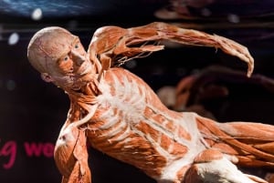 Amsterdam: Body Worlds Exhibition and Canal Cruise