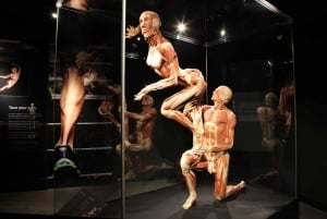 Amsterdam: Body Worlds Exhibition and Canal Cruise