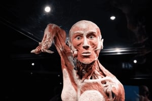 Amsterdam: Body Worlds-udstilling og kanalrundfart
