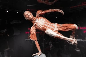Amsterdam: Body Worlds-udstilling og kanalrundfart