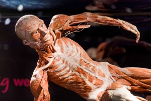 Amsterdam: Body Worlds Exhibition and Canal Cruise