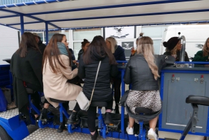 アムステルダム：BUBBLES & BIKEプロセッコツアー - オリジナル