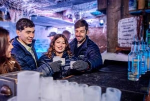 Amsterdam: Rondvaart door de grachten en toegang tot Xtracold Icebar