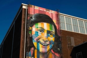 Ámsterdam: paseo por el canal y tour a pie por el norte