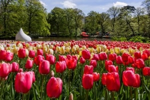 Amsterdam: Canal Cruise & Keukenhof Ticket with Shuttle Bus