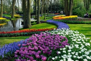 Amsterdam: Canal Cruise & Keukenhof Ticket with Shuttle Bus