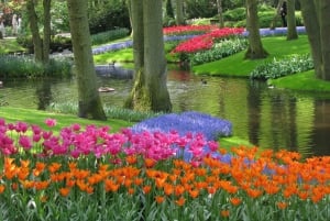 Amsterdam: Canal Cruise & Keukenhof Ticket with Shuttle Bus