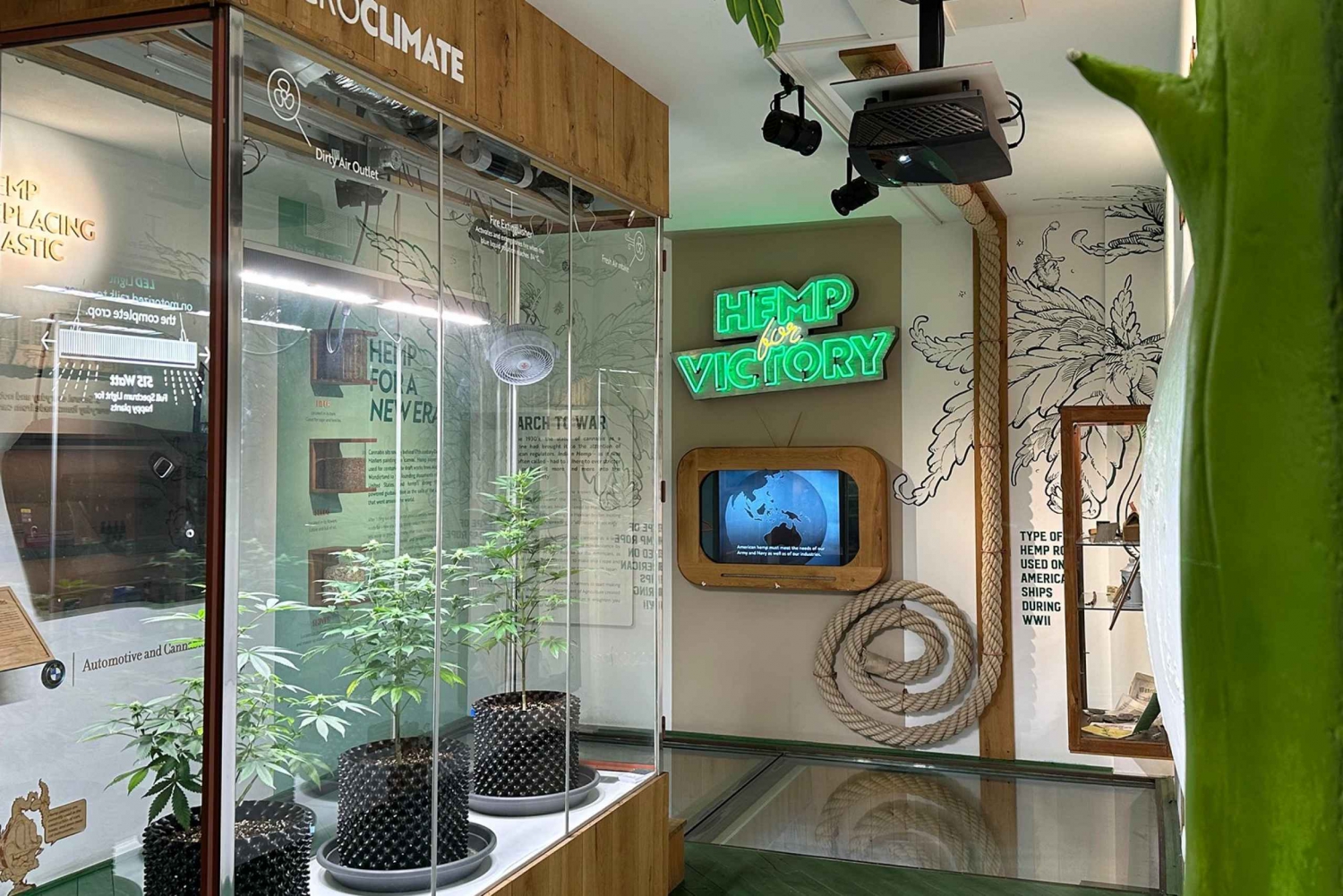 Amsterdam: Cannabis Museum Entry Ticket