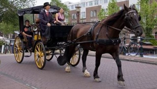 Amsterdam Carriages