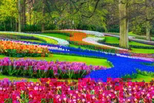 アムステルダム：チーズ、木靴、花、風車ツアー