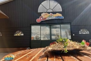 アムステルダム：チーズ、木靴、花、風車ツアー