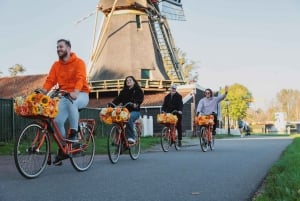 Amsterdam: Cheese, Windmill & Countryside Bike Tour