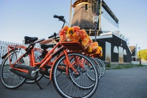 Amsterdam: Cheese, Windmill & Countryside Bike Tour