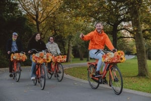 Amsterdam: Cheese, Windmill & Countryside Bike Tour