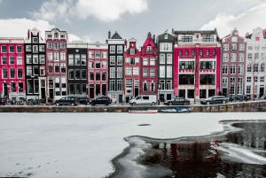 Amsterdam: Christmas Lights and Festive Delights