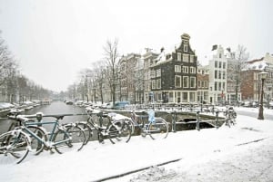 Amsterdam: Christmas Lights and Festive Delights