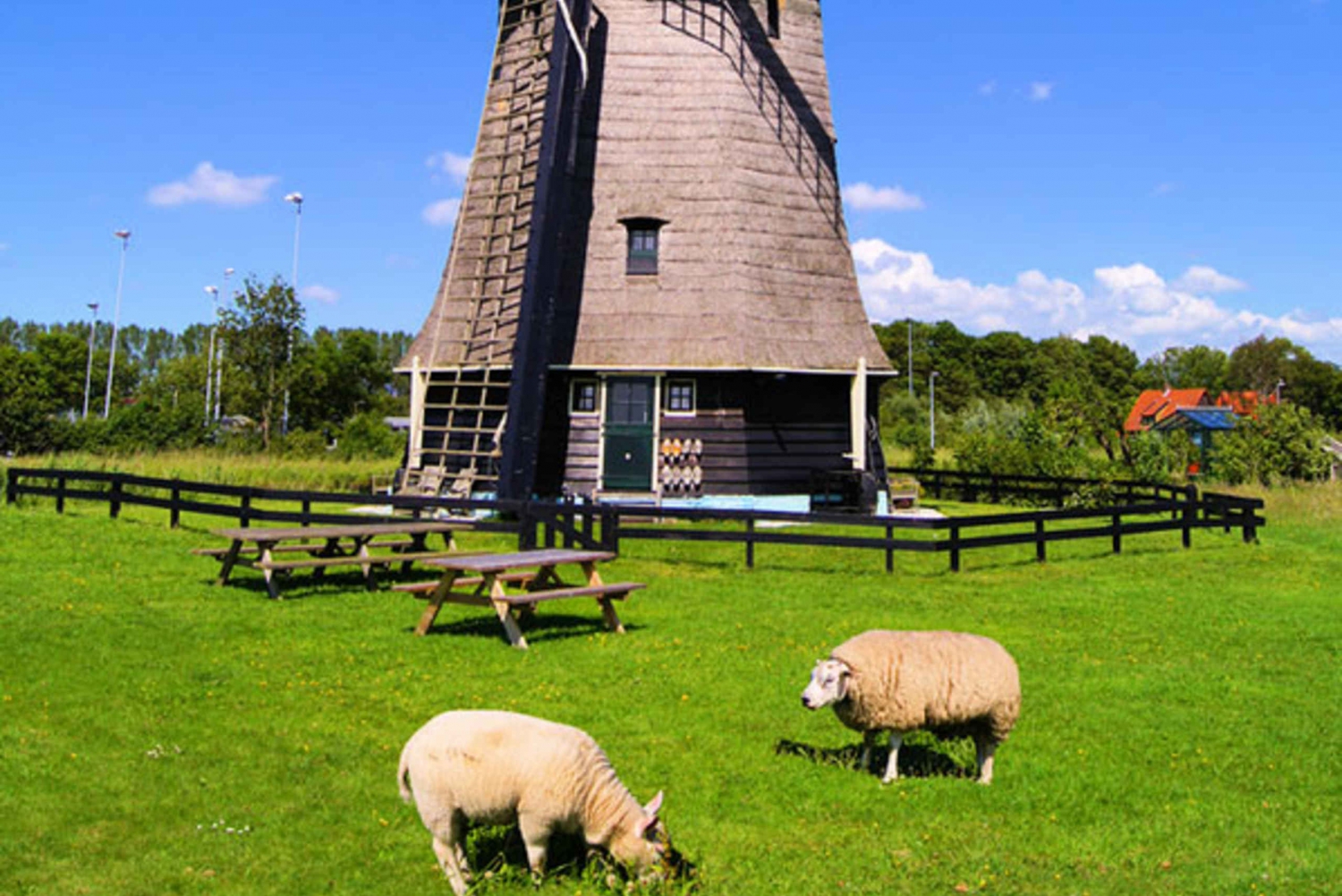 Amsterdam City and Countryside Private Full-Day Tour in Amsterdam | My
