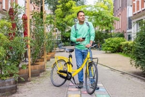 Amsterdam: bykort med gratis inngang og offentlig transport