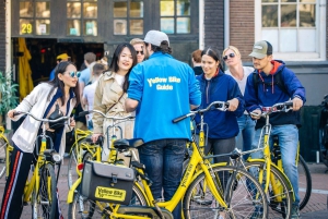 Amsterdam: City Highlights 2-Hour Bike Tour