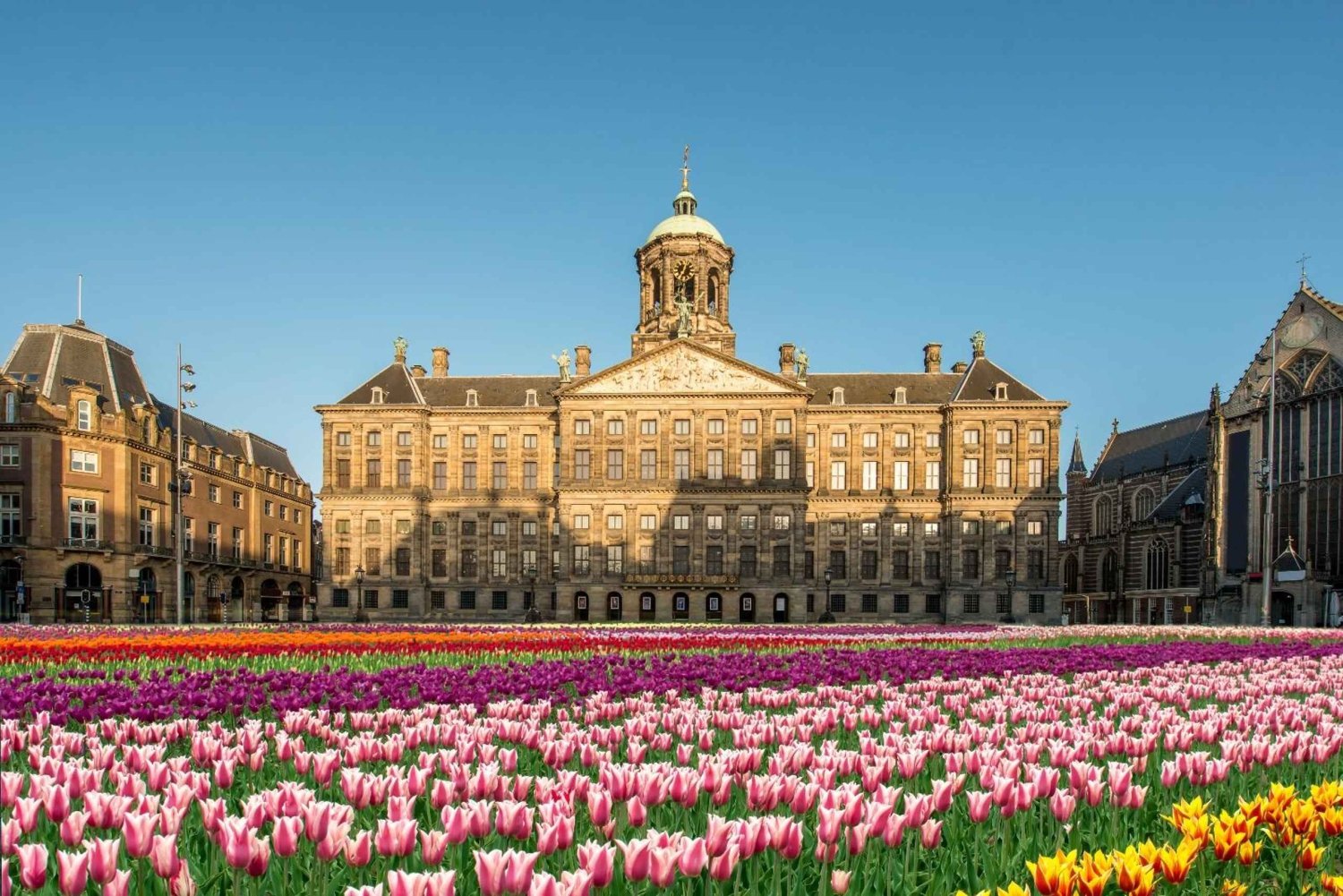 Amsterdam: Stadsvandring med höjdpunkter och kanalrundtur