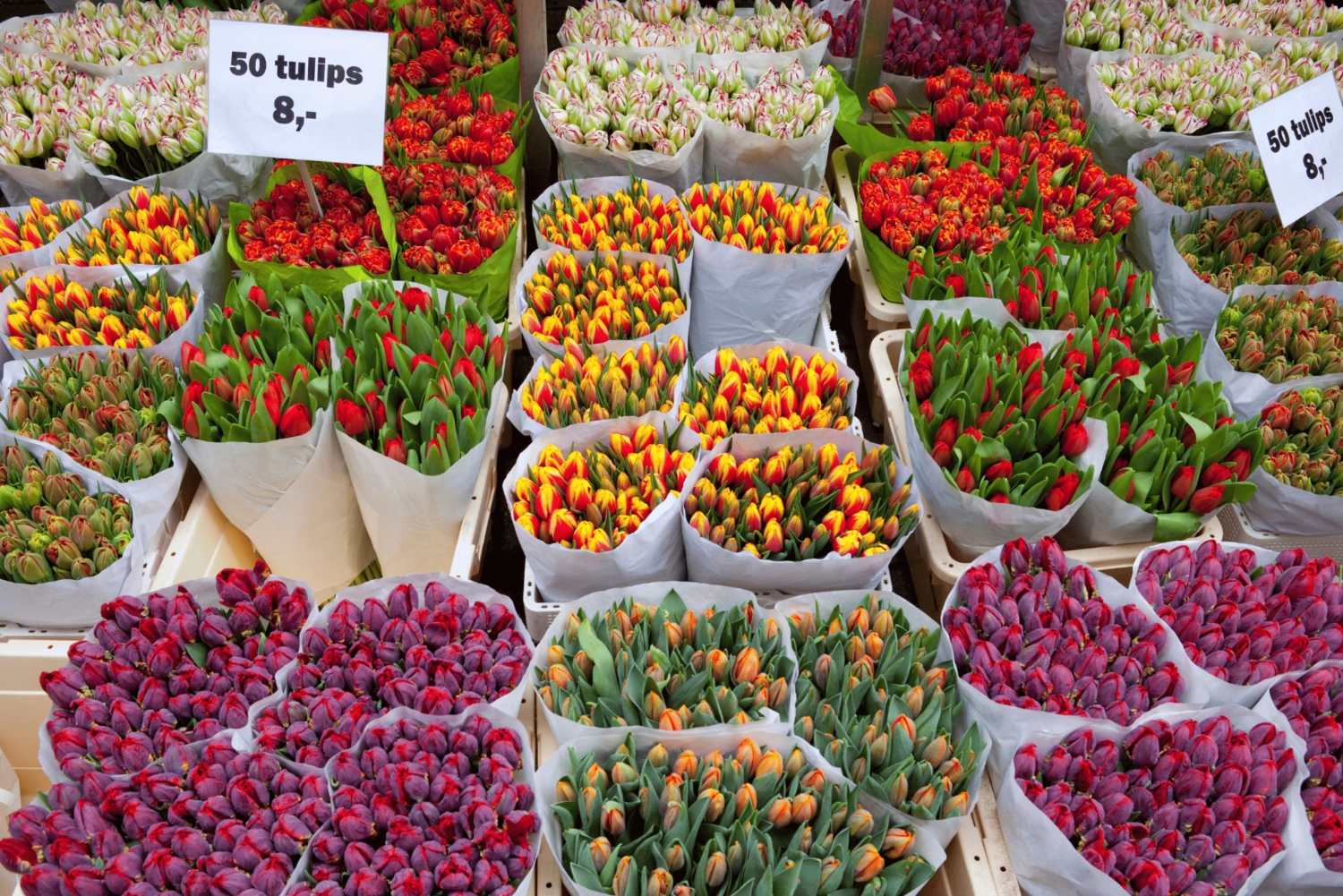 Amsterdam : Promenade dans la ville avec dégustation de poffertjes néerlandais
